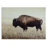 Brutus Wall Art - Image 4