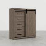 Park Elm 5-Drawer Barn Door Chest