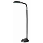 Aptos Floor Lamp