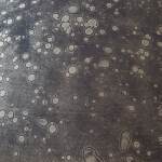 Bluacy Table Lamp - Image 6