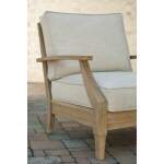Clare View Lounge Chair with Cushion - Image 8