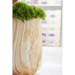 Cammen Vase - Image 4