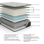 Palisades Plush King Mattress - Image 3