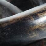 Mardelby Sculpture - Image 5