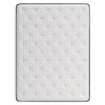 Limited Edition Plush Queen Mattress - Image 5