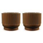 Avalyah Vase (Set of 2)