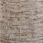 Wellbridge Vase - Image 6