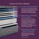 Beautyrest World Class Level Four Medium - Image 3