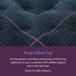 Beautyrest World Class 25 Level Three Plush Pillow Top - Image 4