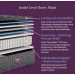 Beautyrest World Class Level Three Plush - Image 3