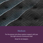 Beautyrest World Class Level Four Medium - Image 4