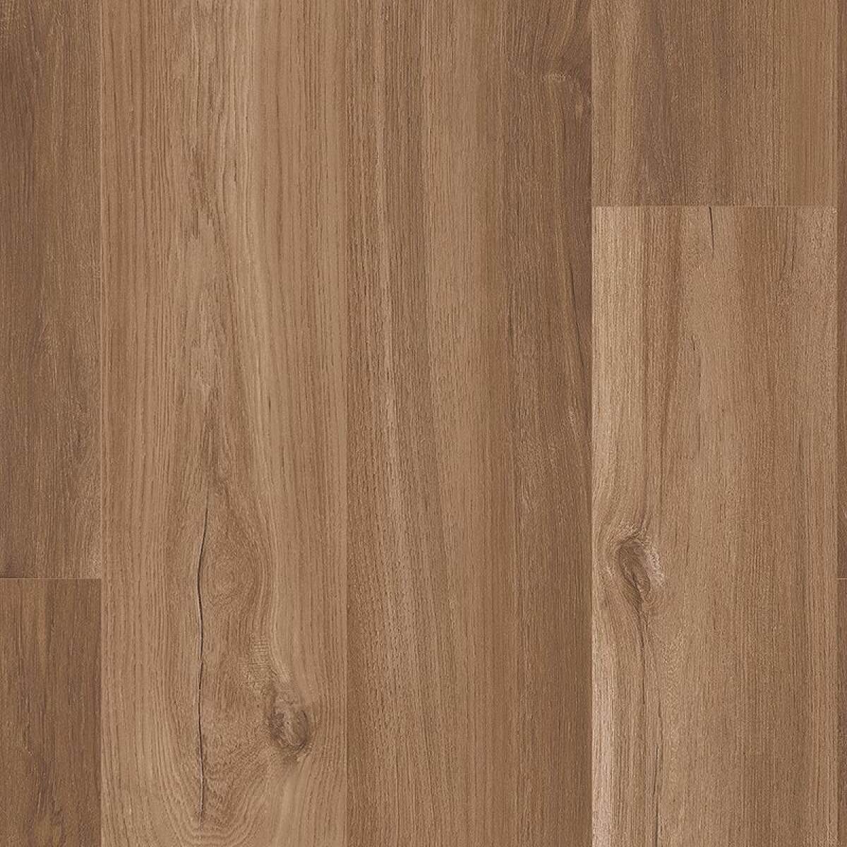 38dd8741958b56474899455e03d7442c Arbor Terrace - Image 1