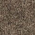 Tonal Chic I