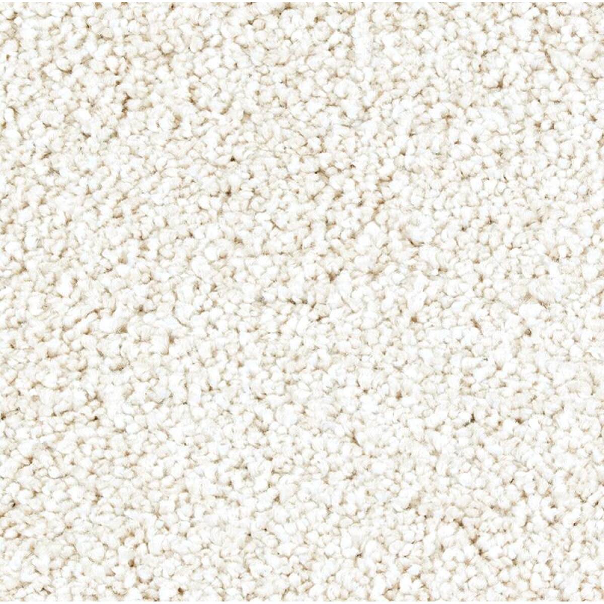 0360863ddc862b81632827d679ec267a Exquisite Shades - Image 1