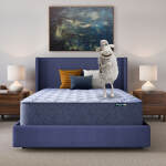 Serta Perfect Day 14" Plush Mattress in a Box -Full