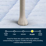 Serta Perfect Day 16" Plush Pillow Top Mattress in a Box -Queen - Image 5