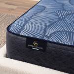 Perfect Sleeper Hybrid Mattress - Enhanced Plush / Queen - Image 3
