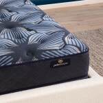 Perfect Sleeper Sleep Excellence - Plush / Twin XL - Image 4