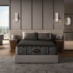 Beautyrest Black Hybrid - Series Three Plush / Twin XL
