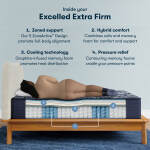 Perfect Sleeper X Excelled 13.75" Hybrid Extra Firm Mattress Low Profile Set -Queen - Image 3