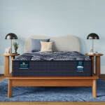 Perfect Sleeper X Excelled 14.25" Hybrid Plush Mattress Set -California King