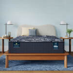 Perfect Sleeper X Excelled 13.75" Hybrid Extra Firm Mattress Low Profile Set -Twin XL