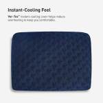 Night Ice Performance® Pillow - Standard / 1.0 - Image 5