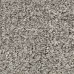 Tonal Chic II