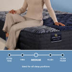 Perfect Sleeper X Max 14.25" Hybrid Medium Mattress Low Profile Set -Queen - Image 4