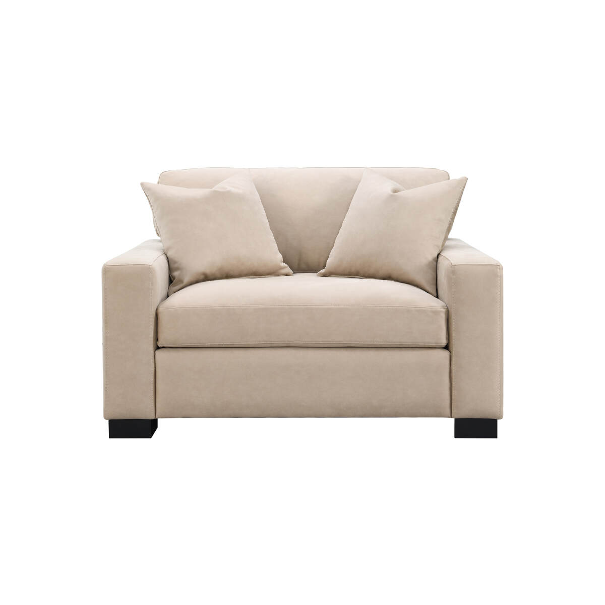 318a1abc953b4168066244913d72532b Dexter Double Chair w/2 Pillows - Image 1