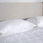 iProtect Pillow Protector - Jumbo/Queen - Image 3
