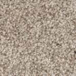 Tonal Chic I