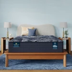 Perfect Sleeper X Knox 13.75" Hybrid Plush Mattress Set -Full