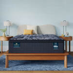 Perfect Sleeper X Lexton 14.25" Hybrid Medium Pillow Top Mattress Low Profile Set -Queen