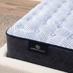 Perfect Sleeper Innerspring Mattress - Enhanced Medium / Cal King - Image 4