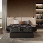 Carton Beautyrest Black Series Two 15.25" Plush Mattress -King