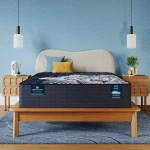 Perfect Sleeper X Max 14.25" Hybrid Medium Mattress Set -Queen