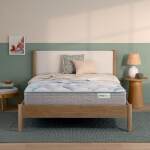 Dream Weaver 12.25" Medium Euro Top Mattress -Twin XL