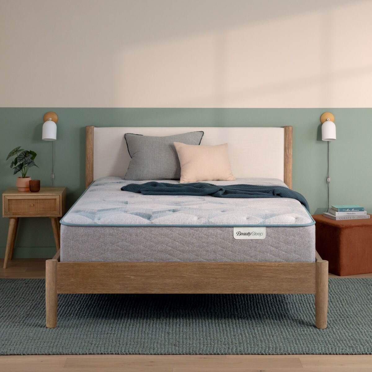 4137ee39c6a2252b7997f73e7108cef8 Dream Weaver 13.75" Plush Mattress -Queen - Image 1