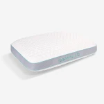 Gemini 1.0 Pillow