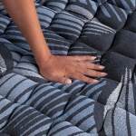 Perfect Sleeper Sleep Excellence - Plush / Twin - Image 6