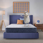 Serta Perfect Day 12" Firm Mattress in a Box -Twin XL