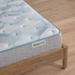 Dream Weaver 13.75" Plush Mattress -Queen - Image 10