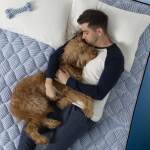 Perfect Sleeper Innerspring Mattress - Enhanced Plush Pillow Top / Queen - Image 9