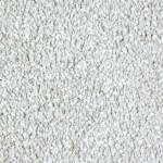 Exquisite Shades