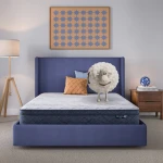 Serta Perfect Day 10" Plush Pillow Top Mattress in a Box -Queen
