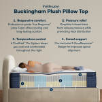 iComfortPro Buckingham 16" Latex Foam Plush Pillow Top Mattress Low Profile Set -California King - Image 3