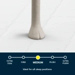 Serta Five Star Mattress - 8" Medium - 8" Medium / Twin - Image 2