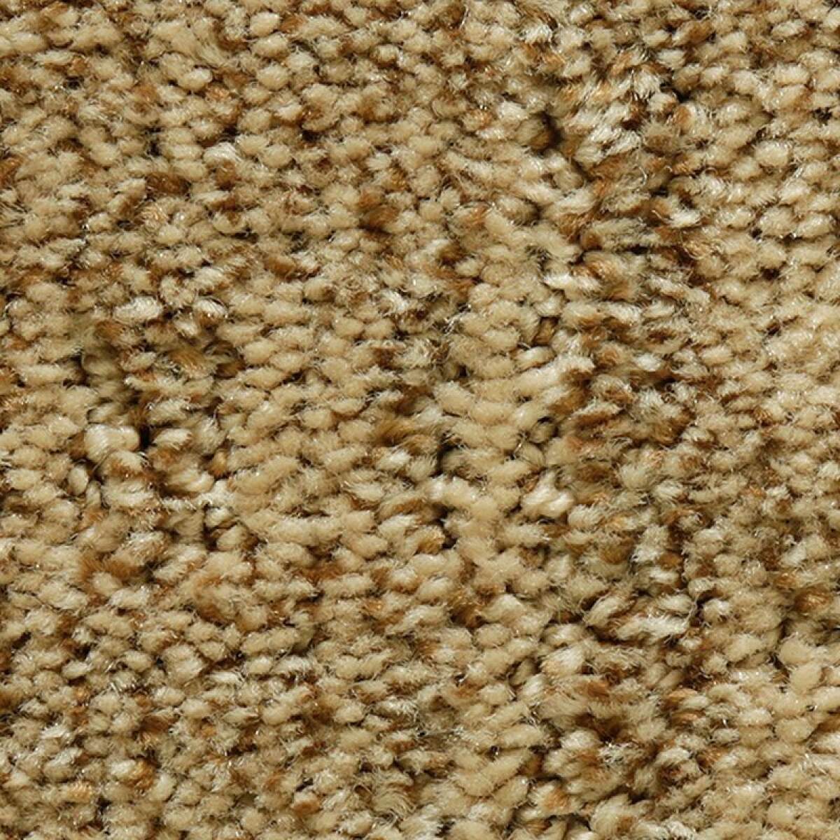 67b85d902d22efeff72df553b1266c50 Random Nature - Image 1