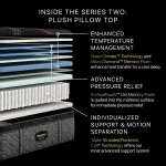 Carton Beautyrest Black Series Two 16.25" Plush Pillow Top Mattress -Full - Image 3